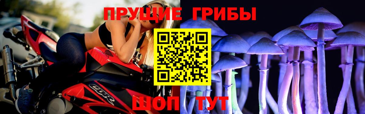 Псилоцибиновые грибы MAGIC MUSHROOMS Славянск-на-Кубани